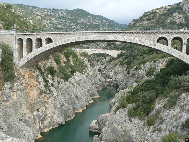 P1030313.jpg