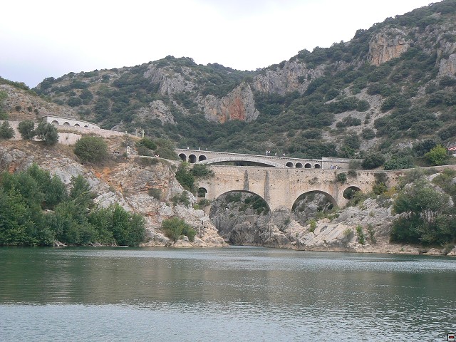 P1030315.jpg
