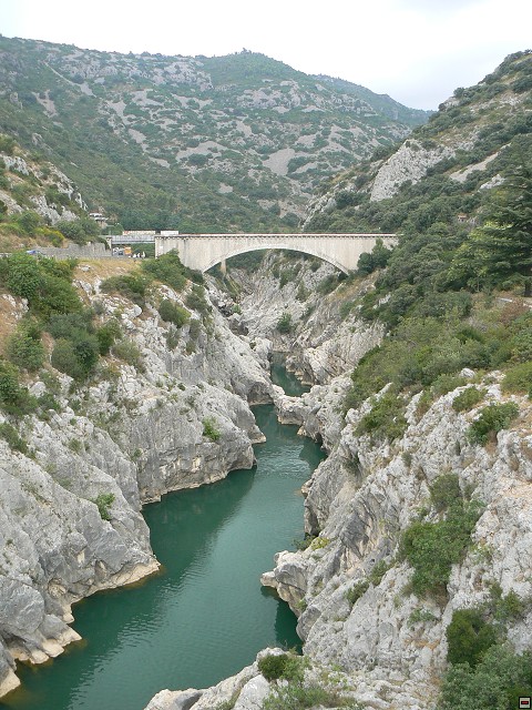 P1030321.jpg