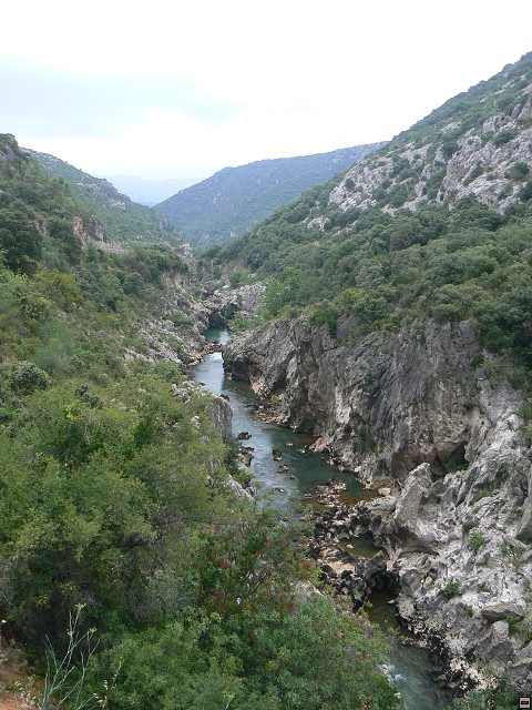 P1030322.jpg