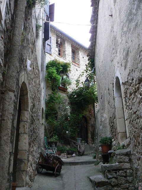 P1030325.jpg