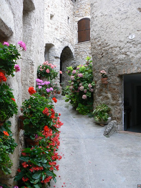 P1030326.jpg