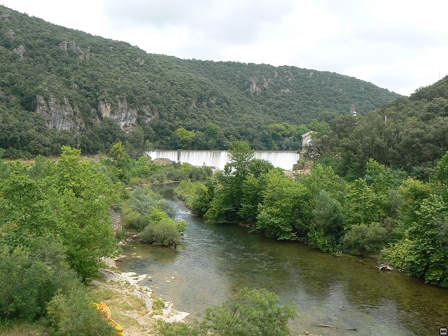 P1030330.jpg