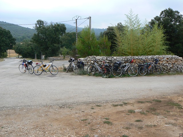 P1030334.jpg