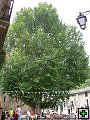 thn_P1030328.jpg