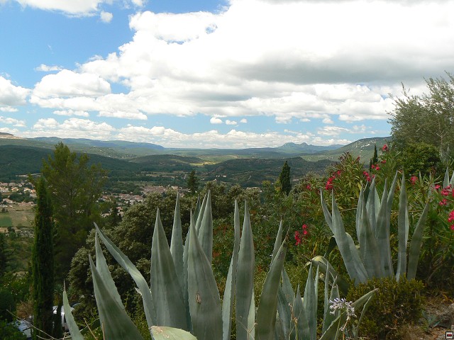 P1030340.jpg