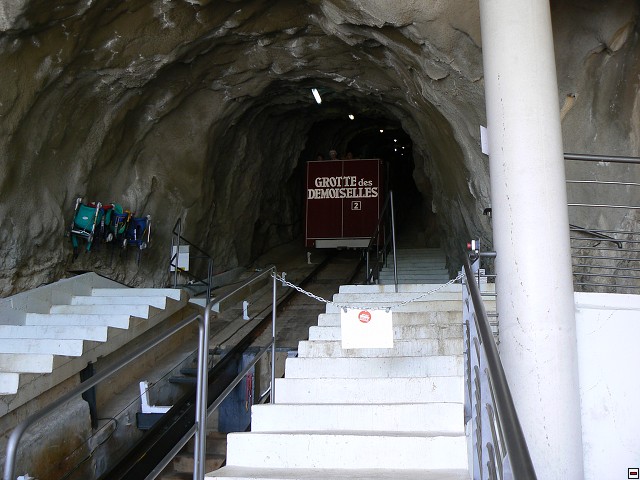 P1030342.jpg