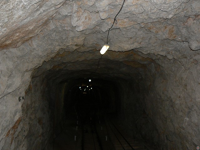 P1030344.jpg
