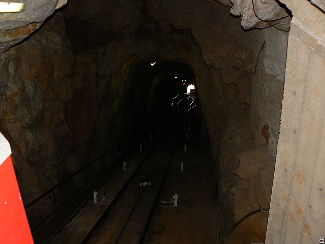 P1030350.jpg