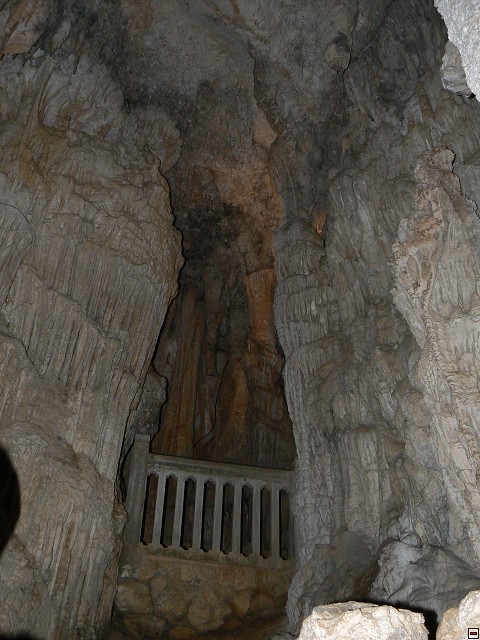 P1030351.jpg