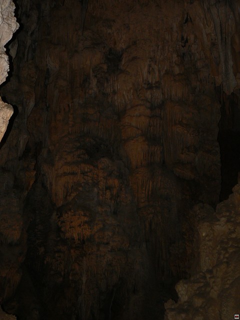 P1030353.jpg