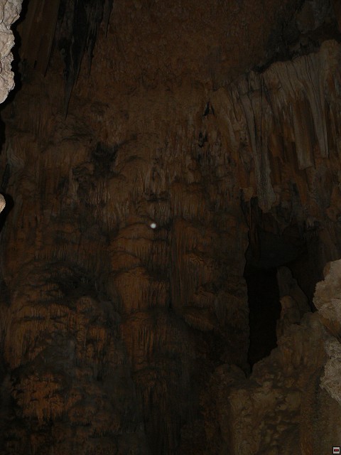 P1030354.jpg