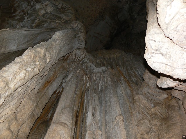 P1030355.jpg