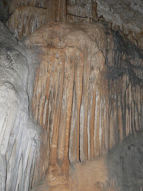 P1030359.jpg
