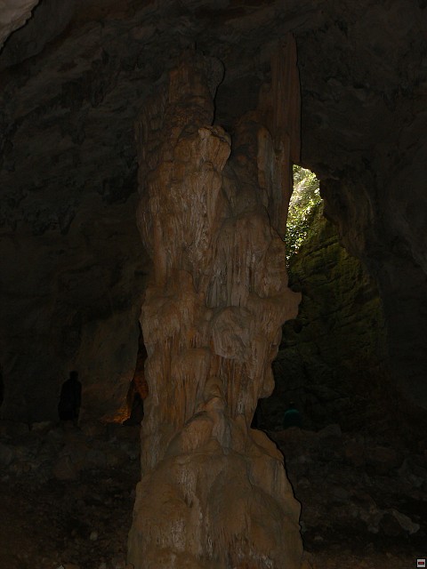 P1030362.jpg