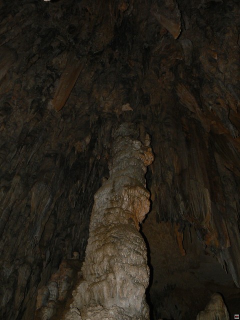 P1030365.jpg