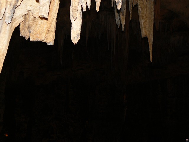 P1030371.jpg