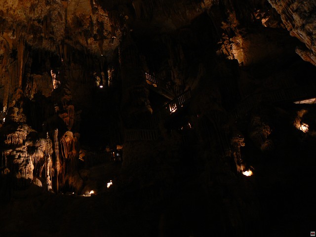 P1030382.jpg