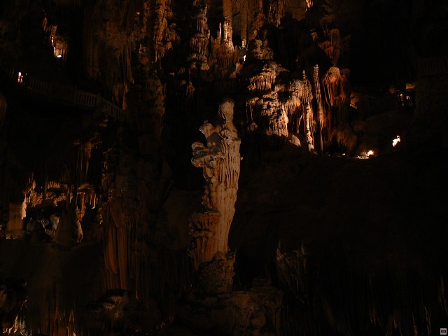 P1030386.jpg