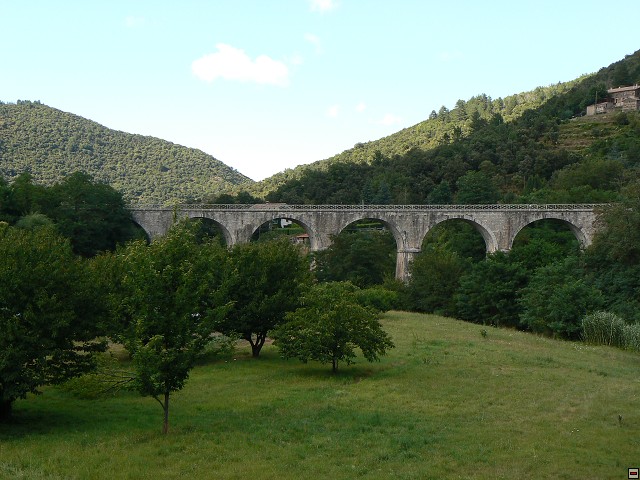 P1030395.jpg