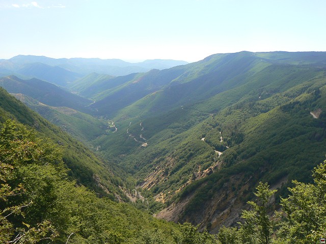 P1030399.jpg
