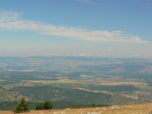 P1030402.jpg