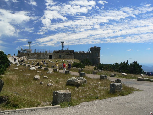 P1030403.jpg