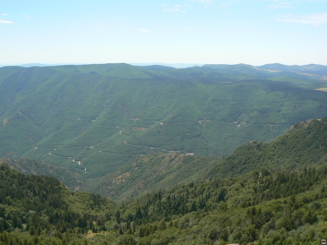 P1030406.jpg
