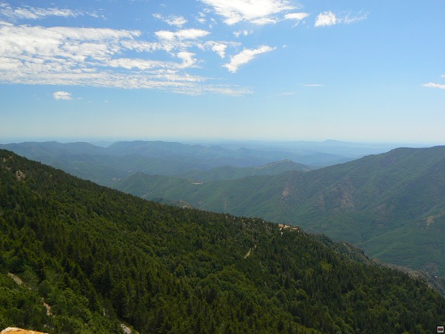 P1030407.jpg
