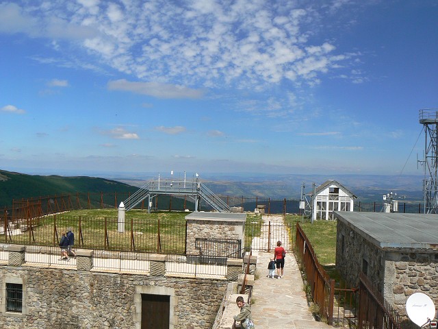 P1030410.jpg