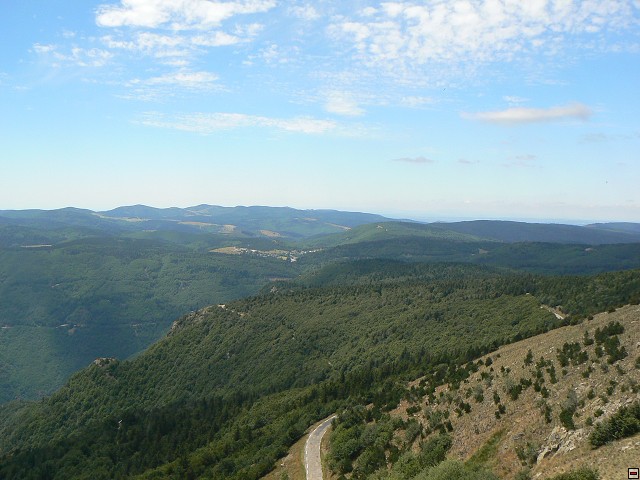 P1030412.jpg