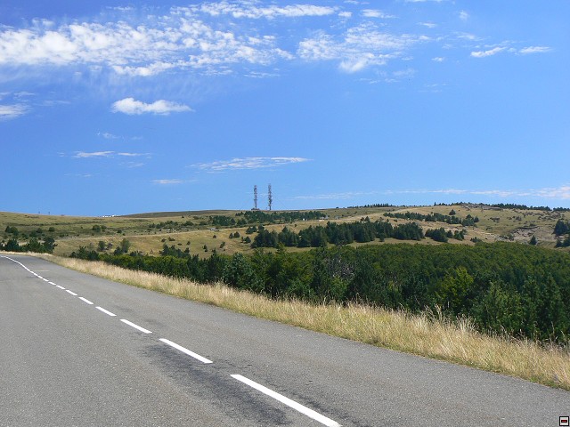 P1030424.jpg