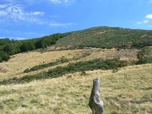 P1030425.jpg