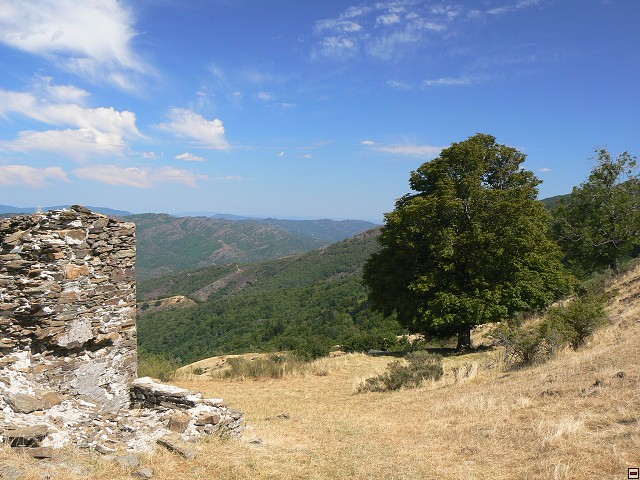 P1030427.jpg