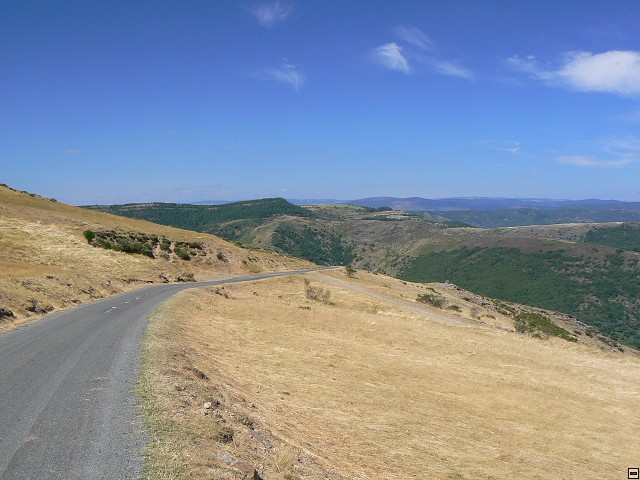 P1030428.jpg