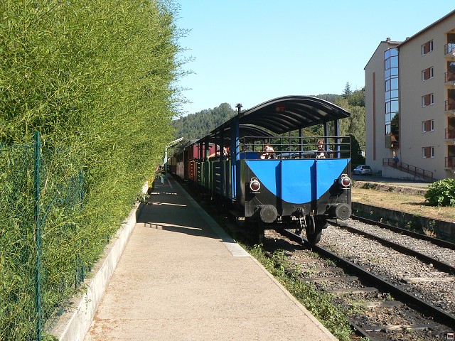 P1030433.jpg