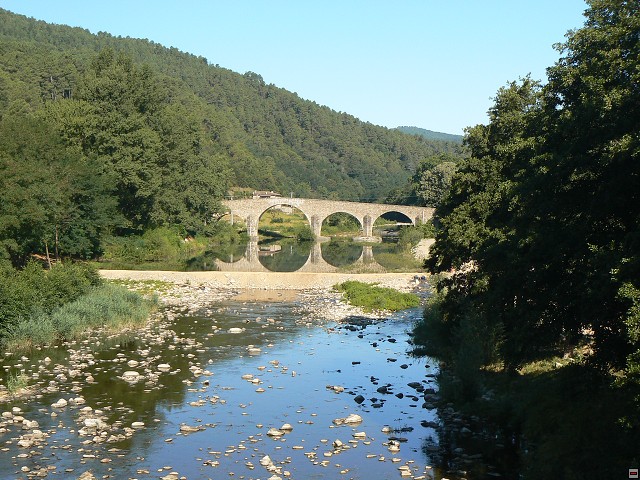 P1030438.jpg