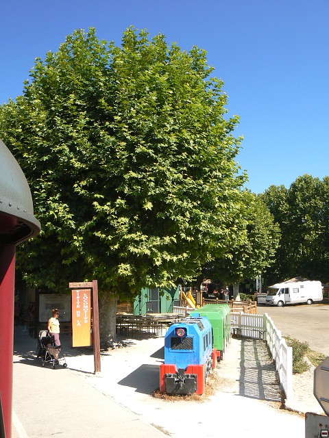 P1030445.jpg
