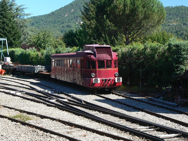 P1030452.jpg