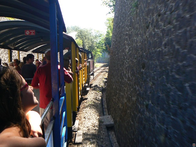P1030472.jpg