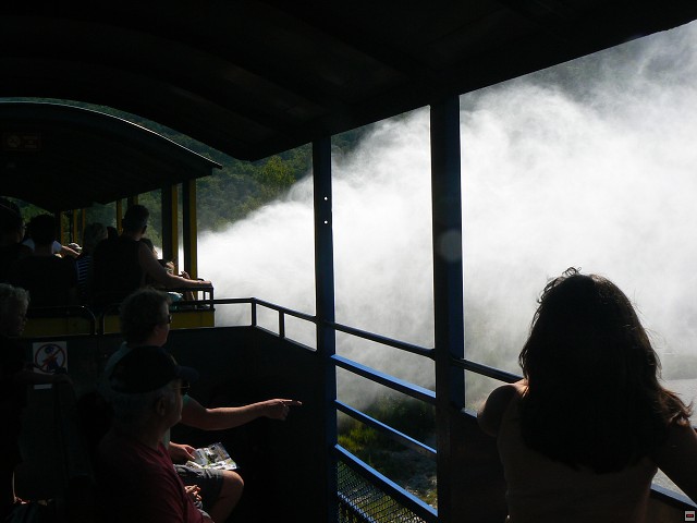 P1030475.jpg