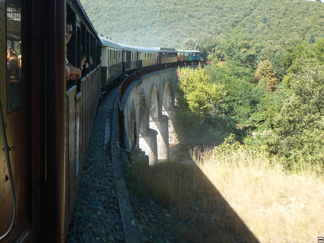 P1030476.jpg