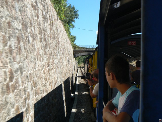 P1030477.jpg
