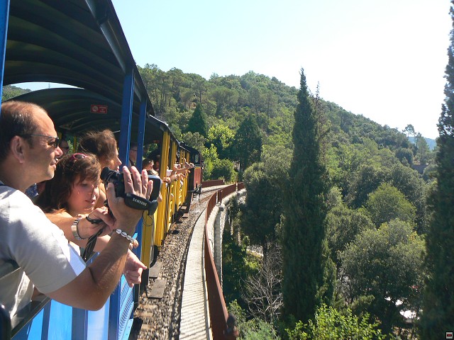 P1030478.jpg