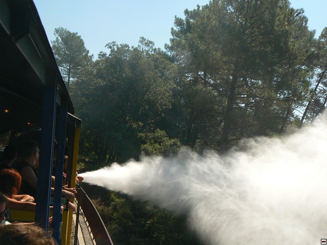 P1030481.jpg