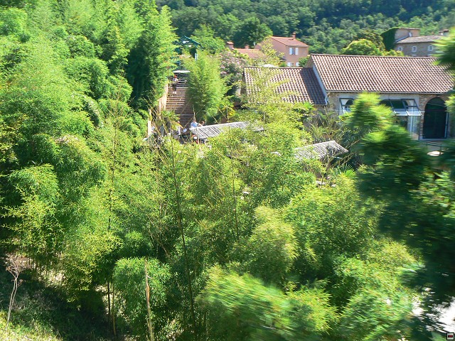 P1030495.jpg