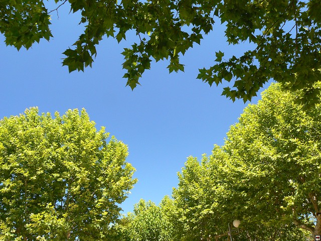 P1030540.jpg