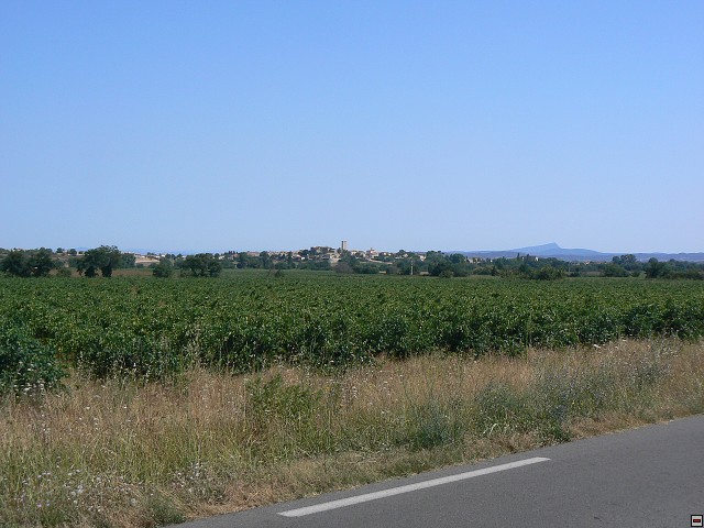 P1030542.jpg