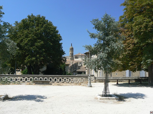 P1030544.jpg