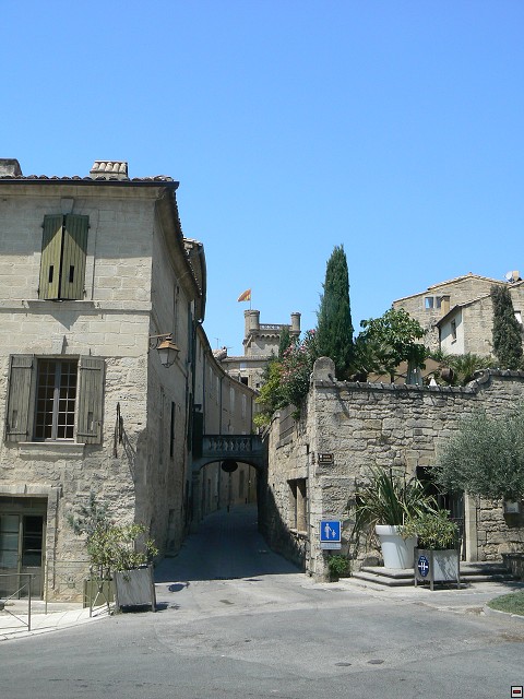 P1030546.jpg